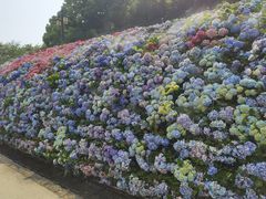 -苏州上方山国家森林公园