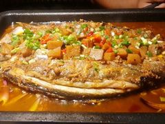 android_upload_pic-鱼乐圈烤鱼餐厅(富尔沃·财富街店)