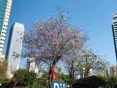 -广州花园酒店
