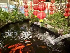 -寻味顺德·南记酒家·传统顺德菜·鱼生(广源路店)
