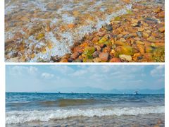 -月亮湾湿地公园