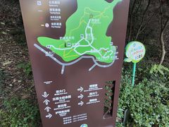 -上海佘山国家森林公园天马山园