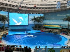 -海合安成都极地海洋公园