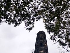 -上海佘山国家森林公园天马山园