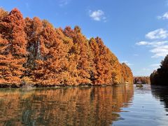 -上海海湾国家森林公园
