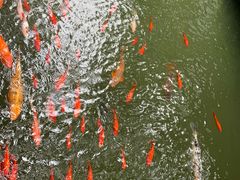 景点-滴水洞景区