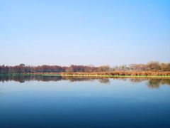 -东湖落雁景区