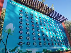 -南戴河国际娱乐中心