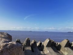 -上海滨江森林公园