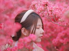 -木兰云雾山