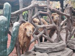 -长鹿旅游休博园