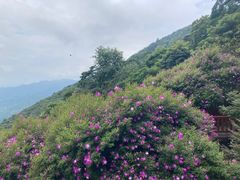 -广州市石门国家森林公园