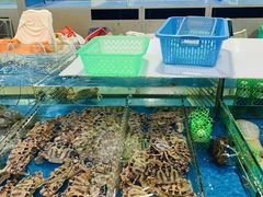 -清水湾3号(东方小周海鲜店)