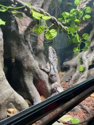 -Zoolung Zoolung动物主题公园(海信广场店)