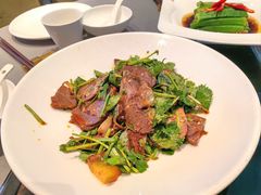 香菜拌牛肉-徐记海鲜·宴会(大唐西市|丰庆店)