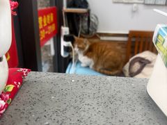 -珊珊小笼馆(仙霞路店)