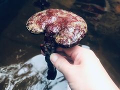 -仁爱团泊湖温泉中心
