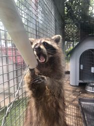 -萌宠亲子动物乐园(槐房万达店)