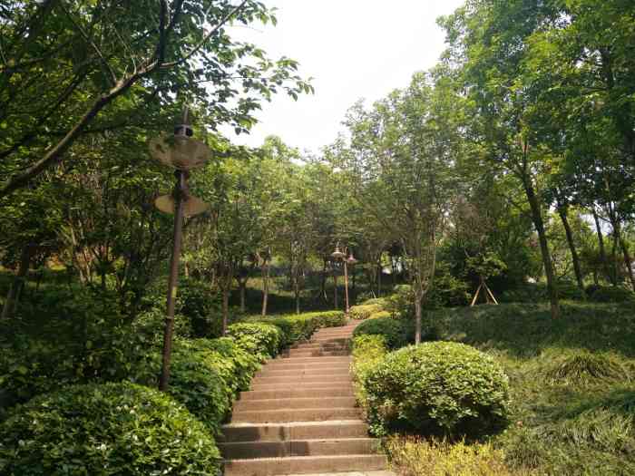 艾坪山公园-"地理位置不多评论江津人都晓得有几个门都.