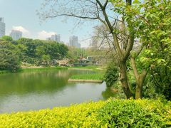 -百林公园-两江幸福广场