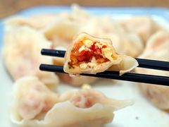 西红柿鸡蛋饺子-乐回头饺子店
