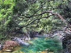 -祁门牯牛降观音堂风景区