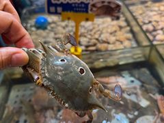 -领鲜活海鲜榴莲自助火锅(东门店)