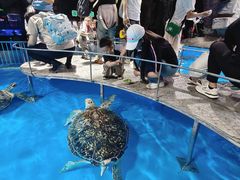 -泉城欧乐堡海洋极地世界