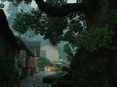 -杨家堂村