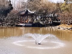 -东平国家森林公园
