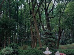 -新洲生态园