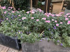 -拂晓山房·私房川菜(西门店)
