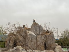 -龙口动植物园