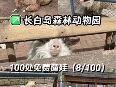 -长白岛森林公园