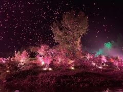 -常德桃花源景区