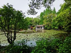 -杭州植物园