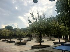 -廊坊市自然公园