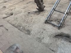 -青藏高原野生动物园