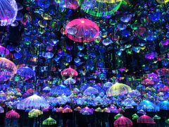 -天津梵高星空艺术馆(天河城旗舰店)