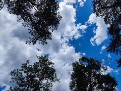 -北京上方山国家森林公园