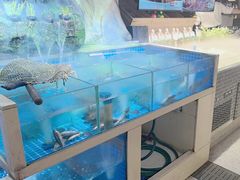 -头上红煨盐鸡·非遗院子餐厅