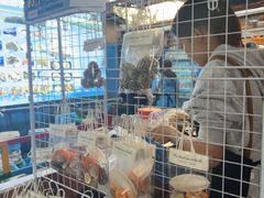 -蓝湾碧波·老字号·疍家非遗海上餐厅