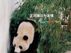 -杭州动物园