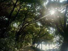 -东莞市虎英郊野公园