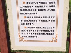 -前小桔亲子创意农场·草莓采摘·露营烧烤
