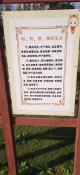 -前小桔亲子创意农场·草莓采摘·露营烧烤