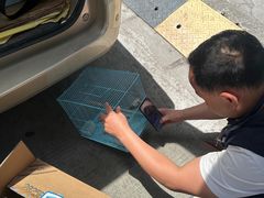 -江燕路万科里