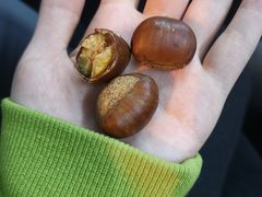 -阿男野栗王(金门路店)