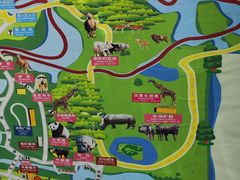 -上海野生动物园