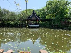 -上海醉白池公园